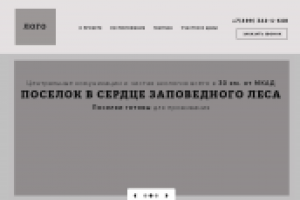 Лесной пейзаж