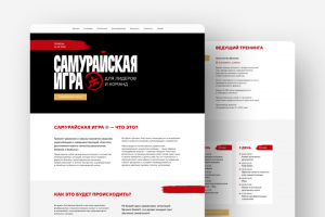 Лендинг для тренинга «Самурайская игра»