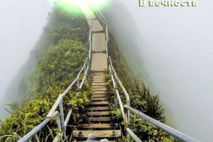 Дорога в вечность