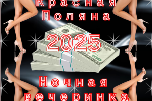 Новогодняя ночь 2025 Красная Поляна Сочи