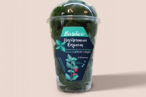 Этикетка для Базилика