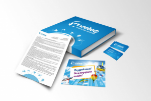 В небо. Организация полетов