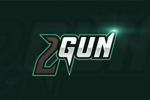 2Gun