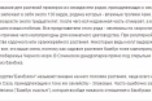 Декоративные бамбуки