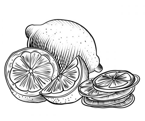 img4331557.png
