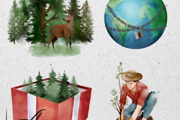 img4583821.png