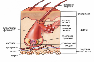 Иллюстрация для пособия
