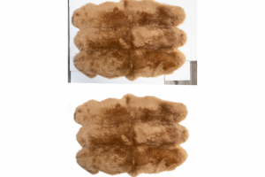 Замена фона (шерсть - 3)