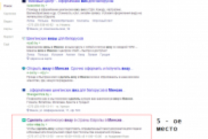 ТОП 10 Яндекс. Визовое агентство