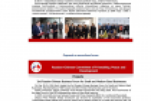 Перевод презентации Российско-Китайского Комитета