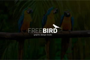 логотип для Free bird
