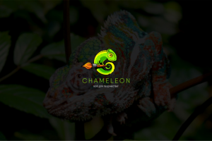 логотип для магазина с товарами для творчества Chameleon