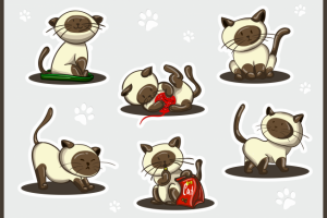 стикеры "Тайский Кот"