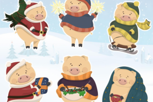 коллекция свиней на на 2019 год