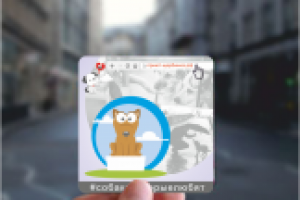 магнит для приюта бездомных собак