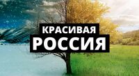 img2525899.png
