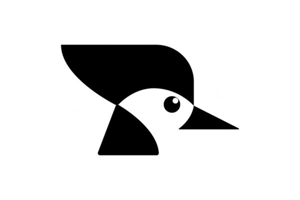 img4653717.png