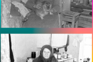 реставрация