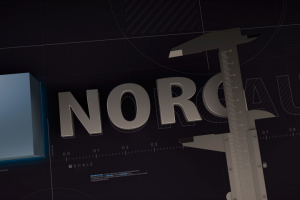 NORGAU анимация логотипа