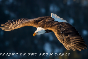 Полет Железного Орла