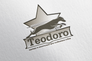 Лого Teodoro
