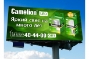 Борд Камелион