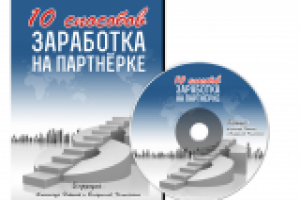 DVD Коробка 10 способов Заработка