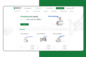 Дизайн сайта по продаже запорной арматуры