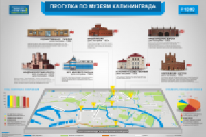 Инфографик для университета