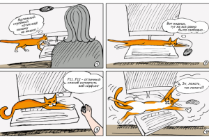 Про кота