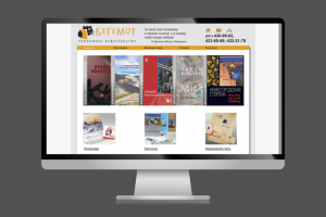 Дизайн главной страницы сайта