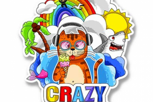 Котик. Принт. Вектор