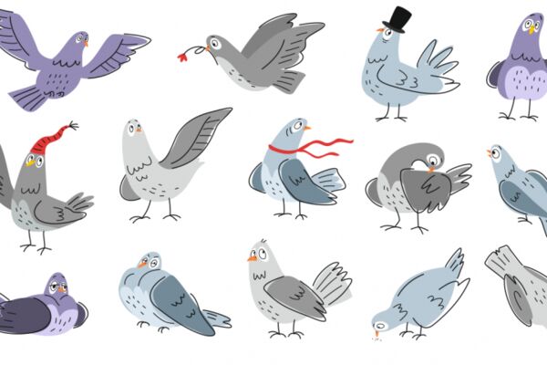 img4584106.png