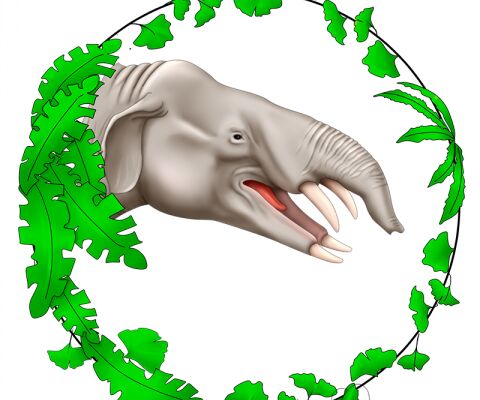 img4276272.png