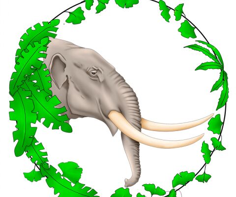 img4276269.png