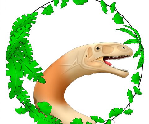 img4276267.png
