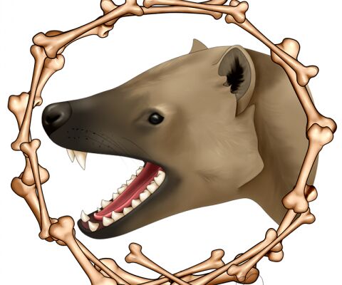img4276265.png
