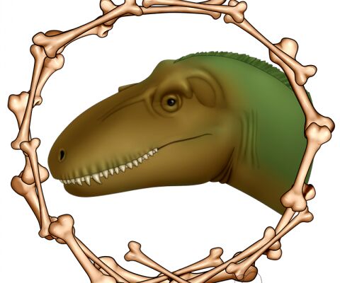 img4276260.png
