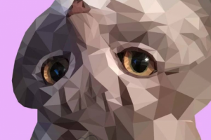 Полигональный кот