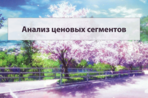 Анализ ценовых сегментов