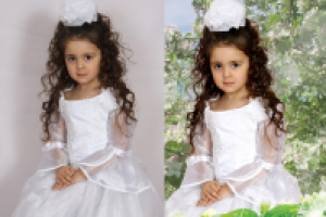 Работа 1301599