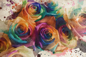 Разноцветные розы