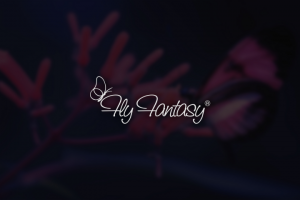 Fly Fantasy