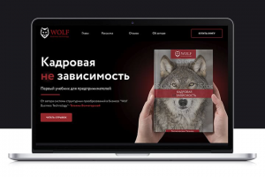 Лендинг по продаже книги