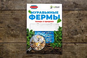 Листовка AntPlanet