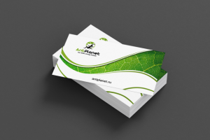 Визитка AntPlanet