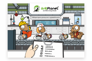 Иллюстрация для листовки