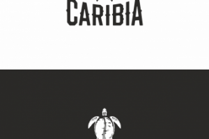 Разработка логотипа Caribia