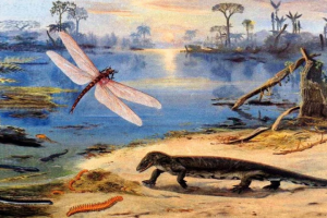 Каменноугольный период