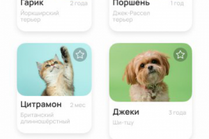 Дизайн приложения для питомника.